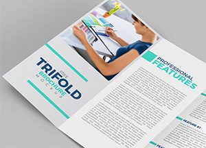Free-Tri-Fold-Brochure-Mockup-Preview