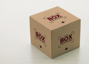 Box-Packaging-Mockup-PSD-Template.jpg
