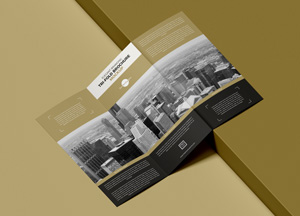 Free-Elegant-Branding-Tri-Fold-Brochure-Mockup-300.jpg
