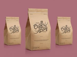 Free-Packaging-Craft-Stitched-Bag-Mockup-PSD