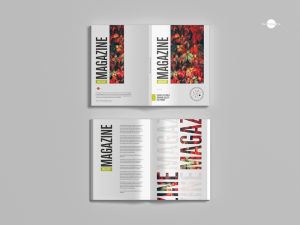 Free-Elegant-Magazine-Mockup